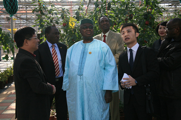 Delegation of Economic & Social and Cultural Council of Mali Visited GDAAS