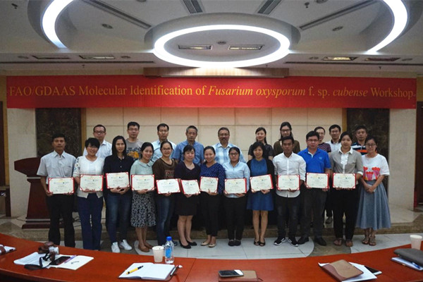 Molecular identification of Fusarium oxysporum f.sp cubense Workshop held at GDASS