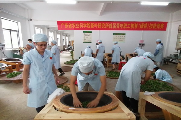 茶叶所成功举办首届青年职工制茶（绿茶）技能竞赛