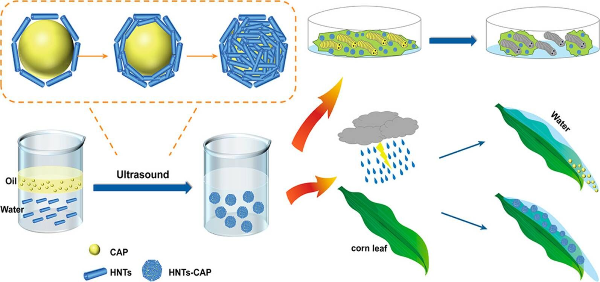 HNTs-CAP乳液体系制备及其耐雨水冲刷性和杀虫效果.jpg