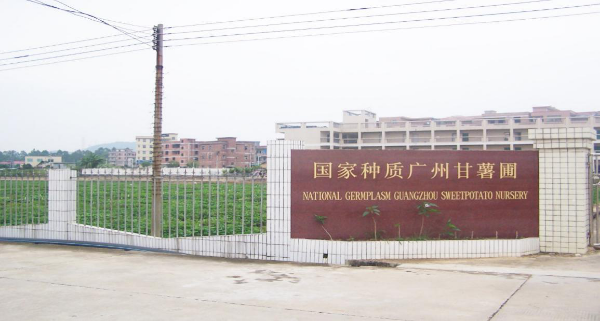 已编辑图片