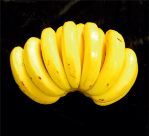 中蕉4号香蕉.jpg