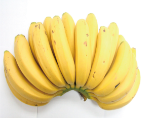 中蕉2号香蕉.jpg