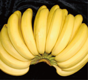中蕉3号香蕉.jpg