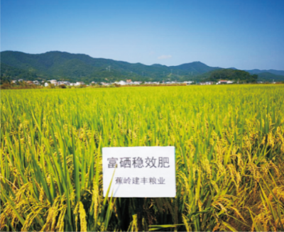 富硒稻米标准化生产技术.jpg