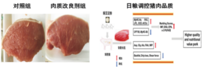 肉品质量安全绿色提升及评价技术.jpg