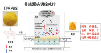 臭气减排和粪污处理技术 (2).jpg