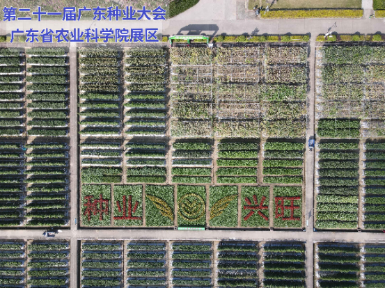 图片5.png
