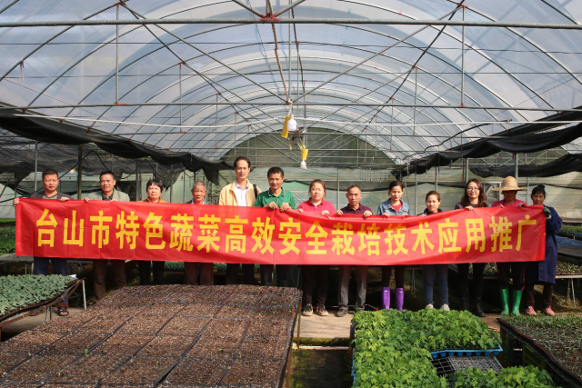 省农科院蔬菜所专家在育苗基地与工人们合影。