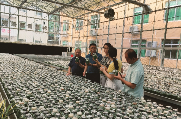 微信图片_20230522174221.jpg