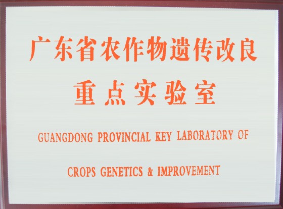 广东省农作物遗传改良重点实验室