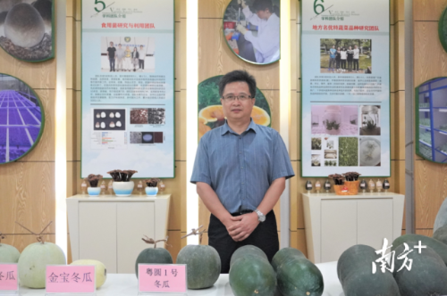  广东省农业科学院蔬菜研究所所长、博士、研究员谢大森