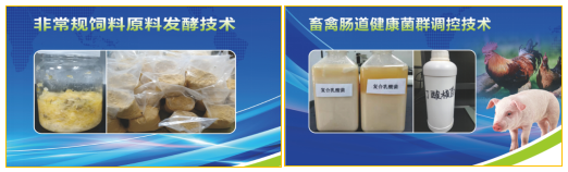 图片12.png