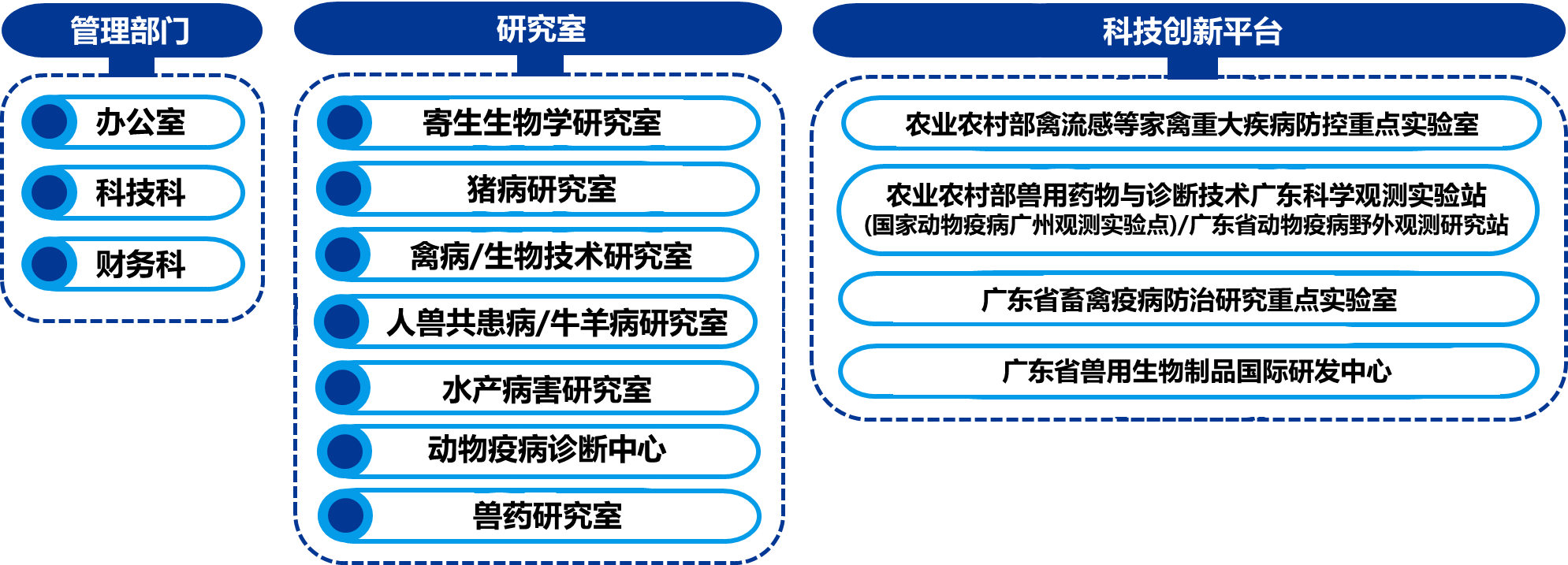 机构设置241227.png