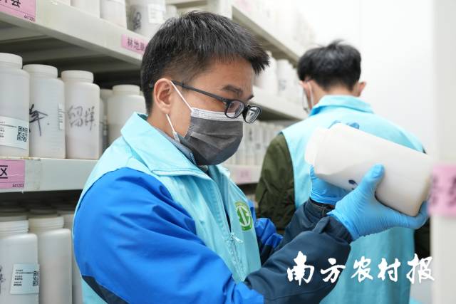 省级质控实验室对各单位制样情况进行检查。