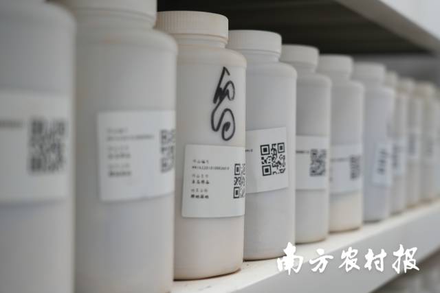 土壤检测样品。