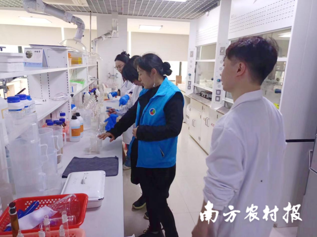 技术专家与检测人员进行指导与交流。