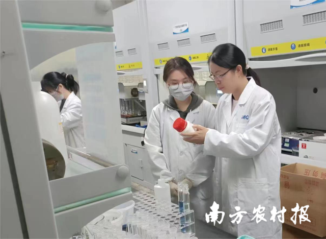 技术专家与检测人员进行指导与交流。