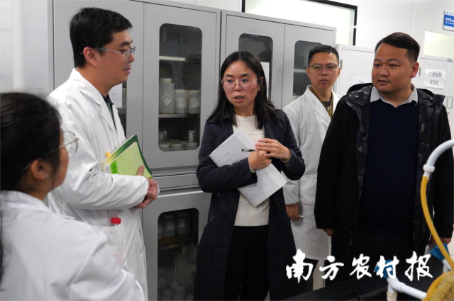 技术专家与检测人员进行指导与交流。