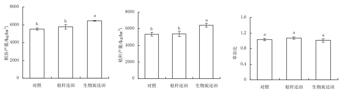 图片13.png