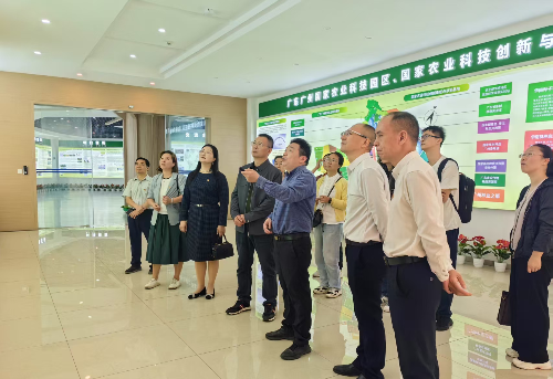 展厅参观图片.jpg