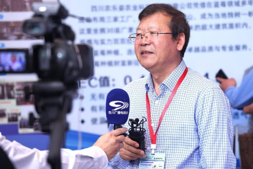 已编辑图片