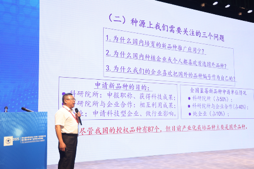 已编辑图片