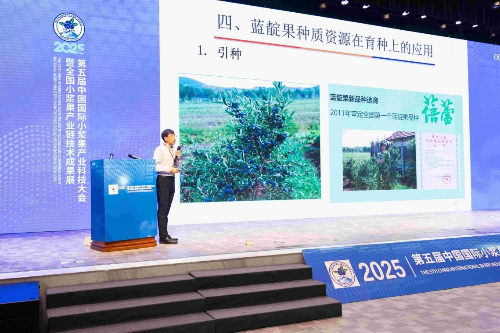 已编辑图片