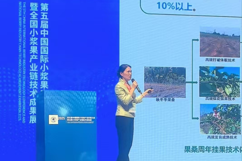 已编辑图片