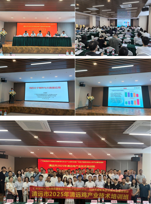 微信图片_20250427113730.png