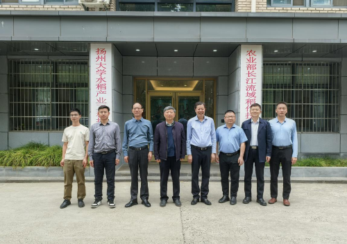 图片7.png