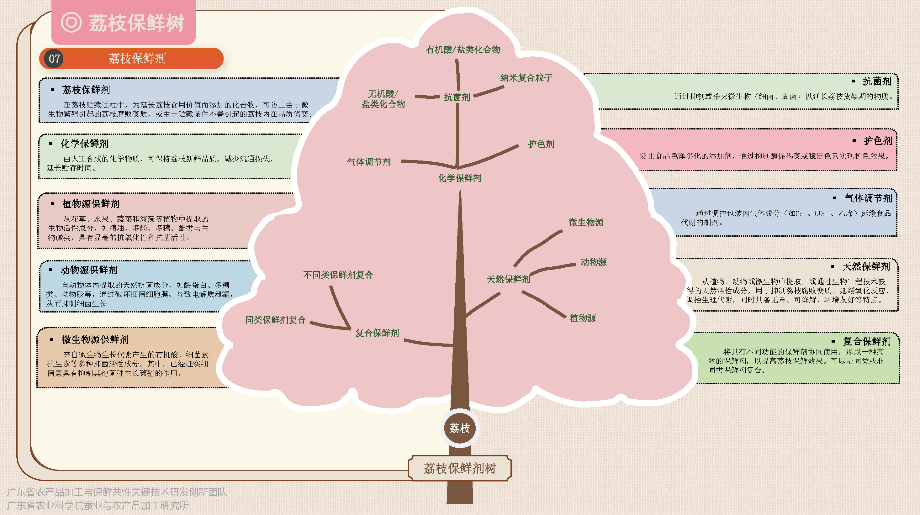 荔枝保鲜加工树(1)-定稿_页面_3.png