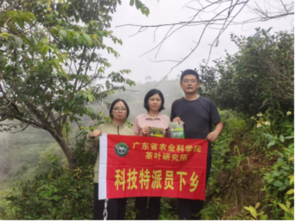 微信图片_20250616125704.png