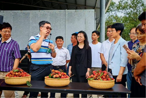 图片3.png