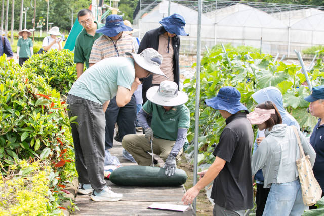 田间评选现场