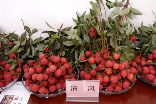 图片3.png