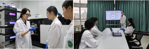 20250627-图1.png