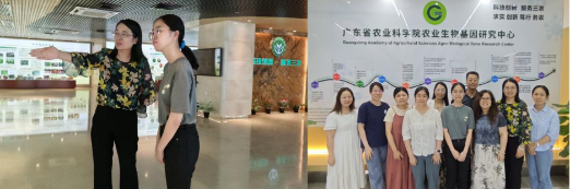 已编辑图片
