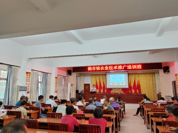 图片4.png