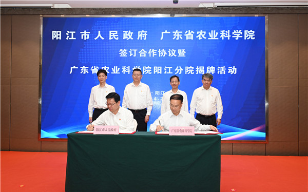 图片说明