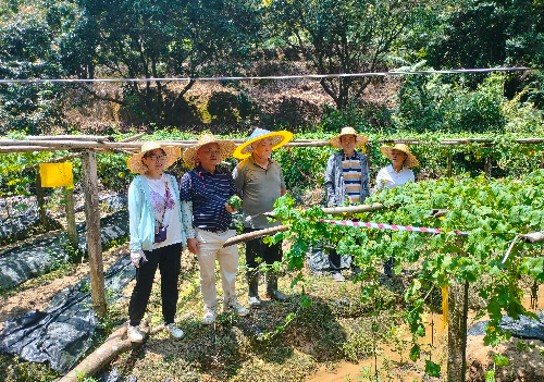 植保所科技特派员到从化开展科技服务.jpg