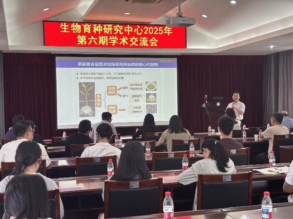 张照亮.png