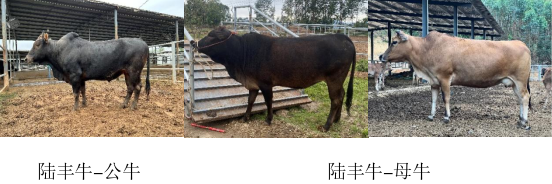 微信图片_20250829172616.png