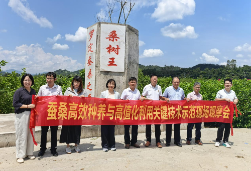 图片2.png