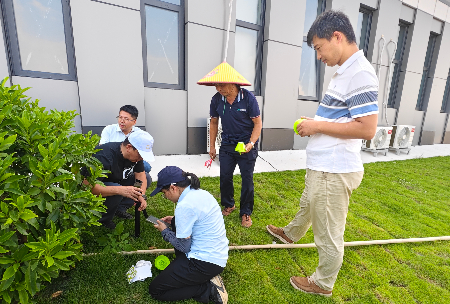 植保所科技特派员到南沙开展科技服务.jpg