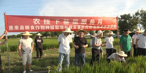 图片4.png