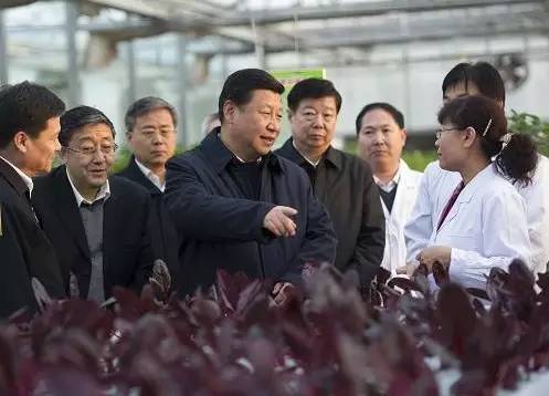 图片说明