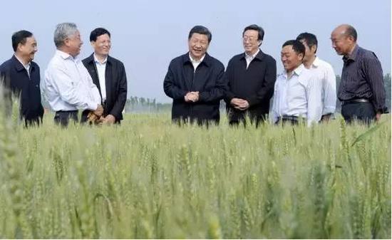 图片说明