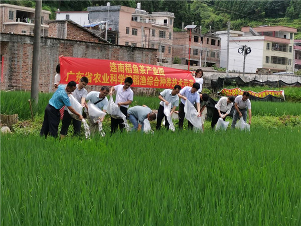 图片说明