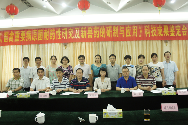 图片说明
